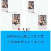 ヒメ日記 2026/01/10 15:07 投稿 ろーず ハピネス東京