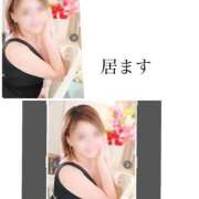 ヒメ日記 2026/02/01 20:31 投稿 ろーず ハピネス東京