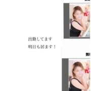 ヒメ日記 2026/02/12 20:47 投稿 ろーず ハピネス東京