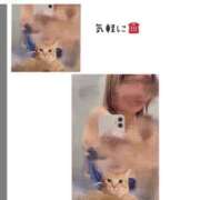 ヒメ日記 2026/03/24 15:17 投稿 ろーず ハピネス東京