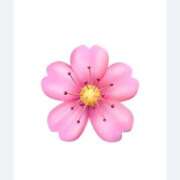 ヒメ日記 2026/04/01 13:10 投稿 ろーず ハピネス東京