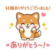 ヒメ日記 2026/02/12 19:30 投稿 ひな【性感】 性感エステBianca豊中店