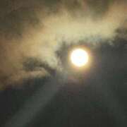 ヒメ日記 2025/01/16 12:31 投稿 ふみ 吉祥寺ミセス・シンデレラ（シンデレラグループ）