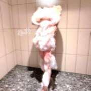 ヒメ日記 2025/03/07 09:01 投稿 ふみ 吉祥寺ミセス・シンデレラ（シンデレラグループ）