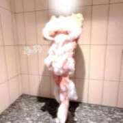 ヒメ日記 2025/11/20 10:02 投稿 ふみ 吉祥寺ミセス・シンデレラ（シンデレラグループ）