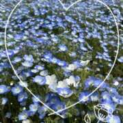 ヒメ日記 2025/04/19 13:47 投稿 しん 池袋あられ