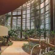 ヒメ日記 2025/04/27 13:12 投稿 しん 池袋あられ