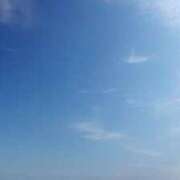 ヒメ日記 2025/02/12 08:31 投稿 らんな姫 螢