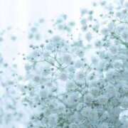 ヒメ日記 2025/05/31 17:21 投稿 らんな姫 螢