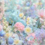 ヒメ日記 2025/07/31 08:29 投稿 らんな姫 螢