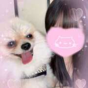 ヒメ日記 2025/12/23 16:18 投稿 ゆる 池袋あられ