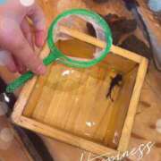 ヒメ日記 2026/01/13 18:15 投稿 ゆる 池袋あられ