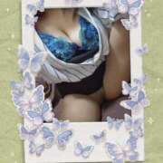 ヒメ日記 2025/04/23 08:45 投稿 まこと 奥様電車