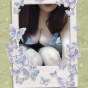 ヒメ日記 2025/04/24 15:15 投稿 まこと 奥様電車