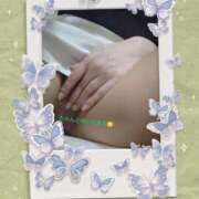 ヒメ日記 2025/05/07 09:02 投稿 まこと 奥様電車