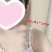 ヒメ日記 2025/04/14 11:33 投稿 みお 秘密の出張部屋