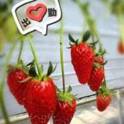 響(ひびき) あなたは最強っ 相模原人妻城