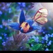 ヒメ日記 2025/08/18 15:56 投稿 矢納あずさ 五十路マダム愛されたい熟女たち 津山店