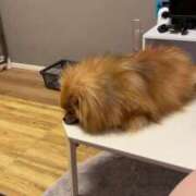 ヒメ日記 2024/12/27 07:21 投稿 れん マリン土浦本店