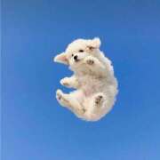 ヒメ日記 2025/01/17 15:21 投稿 れん マリン土浦本店