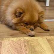 ヒメ日記 2025/02/16 16:01 投稿 れん マリン土浦本店