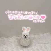 ヒメ日記 2025/04/12 01:16 投稿 れん マリン土浦本店