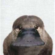 ヒメ日記 2025/04/15 06:51 投稿 れん マリン土浦本店