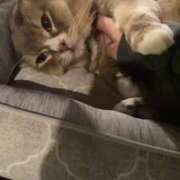 ヒメ日記 2025/05/01 09:01 投稿 れん マリン土浦本店