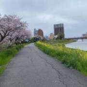 ヒメ日記 2025/05/04 18:02 投稿 れん マリン土浦本店