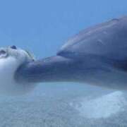 ヒメ日記 2025/06/06 19:51 投稿 れん マリン土浦本店