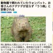 ヒメ日記 2025/06/07 06:43 投稿 れん マリン土浦本店