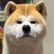 ヒメ日記 2025/06/07 06:51 投稿 れん マリン土浦本店