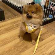 ヒメ日記 2025/06/29 11:02 投稿 れん マリン土浦本店