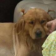 ヒメ日記 2025/06/30 06:10 投稿 れん マリン土浦本店