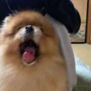 ヒメ日記 2025/10/25 10:02 投稿 れん マリン土浦本店