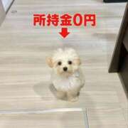 ヒメ日記 2025/11/01 11:01 投稿 れん マリン土浦本店