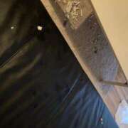 ヒメ日記 2025/11/08 05:11 投稿 れん マリン土浦本店