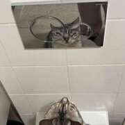 ヒメ日記 2025/11/13 22:24 投稿 れん マリン土浦本店