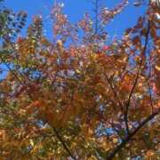 ヒメ日記 2025/11/14 11:01 投稿 れん マリン土浦本店