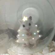 ヒメ日記 2025/12/09 23:17 投稿 れん マリン土浦本店