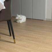 ヒメ日記 2026/01/16 12:56 投稿 れん マリン土浦本店