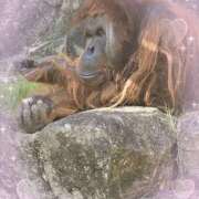 ヒメ日記 2024/12/14 15:13 投稿 みつ 池袋あられ