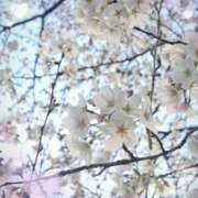 ヒメ日記 2025/04/05 16:39 投稿 みつ 池袋あられ