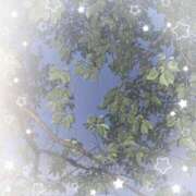 ヒメ日記 2025/05/18 13:30 投稿 みつ 池袋あられ