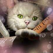 みつ みつです🍯 池袋あられ