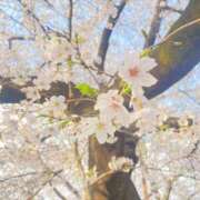 みつ みつです🍯 池袋あられ