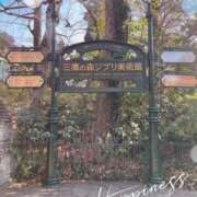 ヒメ日記 2025/07/17 18:24 投稿 せいな 池袋あられ