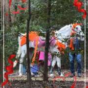 ヒメ日記 2025/11/08 13:05 投稿 せいな 池袋あられ