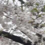 ヒメ日記 2025/03/31 16:26 投稿 あゆ チョコメロ