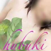 ヒメ日記 2025/03/27 17:08 投稿 ふぶきさん いけない奥さん 十三店